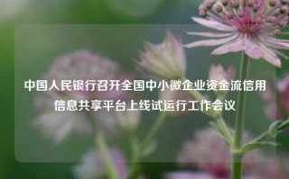 中国人民银行召开全国中小微企业资金流信用信息共享平台上线试运行工作会议