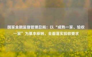 国家金融监督管理总局：以“成熟一家、验收一家”为基本原则，全面落实验收要求