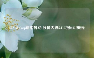 SES AI Corp盘中异动 股价大跌5.11%报0.427美元