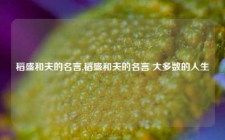 稻盛和夫的名言,稻盛和夫的名言 大多数的人生