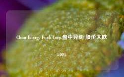 Clean Energy Fuels Corp.盘中异动 股价大跌5.00%