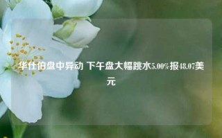 华仕伯盘中异动 下午盘大幅跳水5.00%报48.07美元