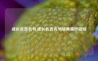 成长名言名句,成长名言名句经典摘抄简短