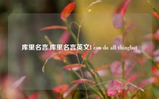 库里名言,库里名言英文I can do all thingbut