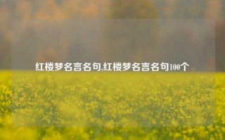 红楼梦名言名句,红楼梦名言名句100个