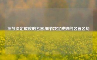 细节决定成败的名言,细节决定成败的名言名句