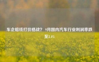 车企赔钱打价格战？ 9月国内汽车行业利润率跌至3.4%