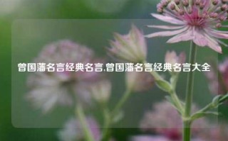 曾国藩名言经典名言,曾国藩名言经典名言大全