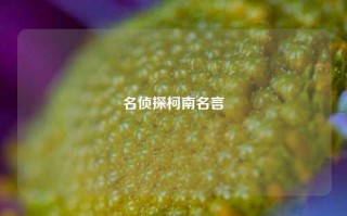 名侦探柯南名言