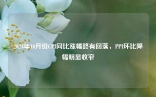 2024年10月份CPI同比涨幅略有回落，PPI环比降幅明显收窄