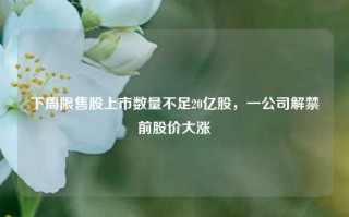 下周限售股上市数量不足20亿股，一公司解禁前股价大涨