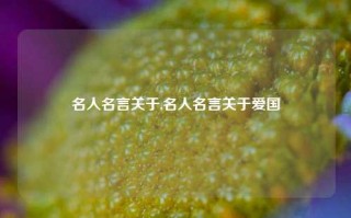 名人名言关于,名人名言关于爱国