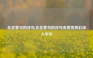 名言警句的诗句,名言警句的诗句来赞赏我们深入中学