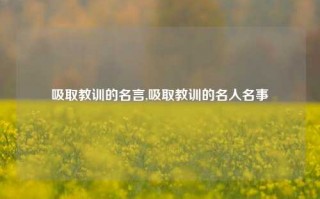 吸取教训的名言,吸取教训的名人名事