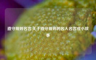 遵守规则名言,关于遵守规则的名人名言或小故事