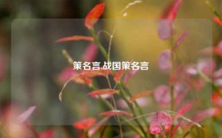 策名言,战国策名言