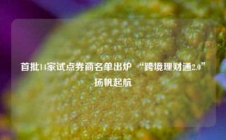 首批14家试点券商名单出炉 “跨境理财通2.0”扬帆起航