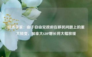 经济学家：由于自由党政府在移民问题上的重大转变，加拿大GDP增长将大幅放缓