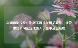 华润置地控股：谢骥不再担任相关职位，徐荣出任公司法定代表人、董事及总经理