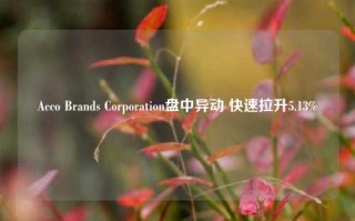 Acco Brands Corporation盘中异动 快速拉升5.13%