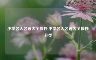 小学名人名言大全摘抄,小学名人名言大全摘抄分类