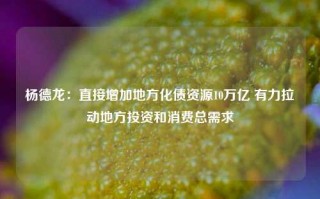 杨德龙：直接增加地方化债资源10万亿 有力拉动地方投资和消费总需求