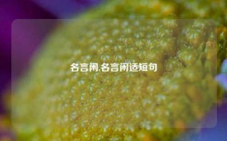 名言闲,名言闲适短句