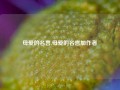 母爱的名言,母爱的名言加作者