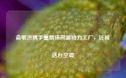 俞敏洪携手董明珠溯源格力工厂，还被送台空调