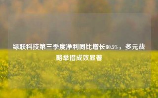 绿联科技第三季度净利同比增长80.5%，多元战略举措成效显著