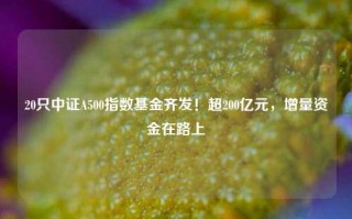 20只中证A500指数基金齐发！超200亿元，增量资金在路上