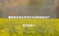 毫微宣布将比特币作为战略储备资产 股价涨逾14%