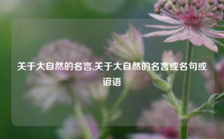 关于大自然的名言,关于大自然的名言或名句或谚语