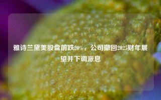 雅诗兰黛美股盘前跌20%，公司撤回2025财年展望并下调派息