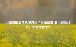 Q3业绩展现增长潜力获华尔街盛赞 亚马逊离分红、回购不远了？