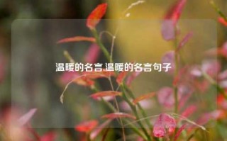 温暖的名言,温暖的名言句子