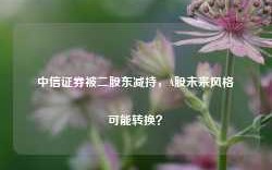 中信证券被二股东减持，A股未来风格可能转换？