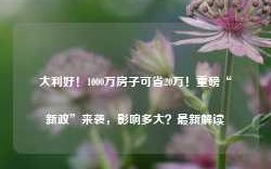 大利好！1000万房子可省20万！重磅“新政”来袭，影响多大？最新解读