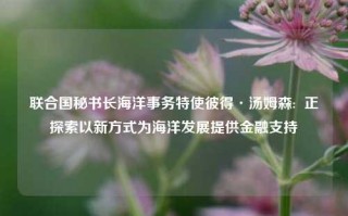 联合国秘书长海洋事务特使彼得·汤姆森:  正探索以新方式为海洋发展提供金融支持