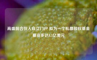 高盛前合伙人自立门户 拟为一个私募股权基金募资多达8.5亿美元