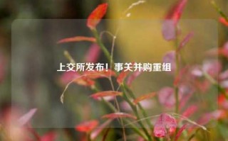 上交所发布！事关并购重组