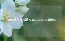 Q3营收不及预期 Nu Holdings(NU.US)跌超7%