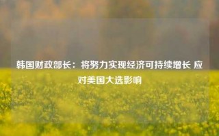 韩国财政部长：将努力实现经济可持续增长 应对美国大选影响