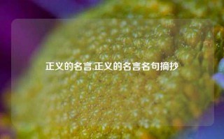 正义的名言,正义的名言名句摘抄