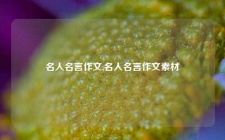 名人名言作文,名人名言作文素材