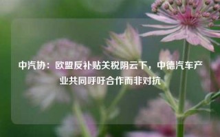 中汽协：欧盟反补贴关税阴云下，中德汽车产业共同呼吁合作而非对抗