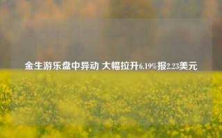 金生游乐盘中异动 大幅拉升6.19%报2.23美元