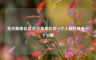 托尔斯泰名言,托尔斯泰名言一个人就好像是一个分数