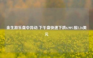 金生游乐盘中异动 下午盘快速下跌6.90%报2.16美元