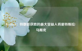 Wedbush：特朗普获胜的最大受益人将是特斯拉/马斯克